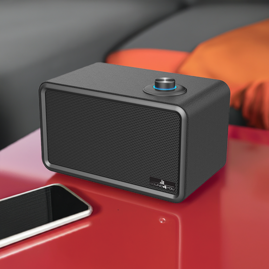 SCHWAIGER 661729 Moderner Retro Bluetooth Lautsprecher